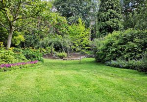 Optimiser l'expérience du jardin à Ailly