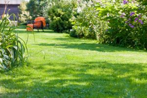 travaux jardin et paysage Ailly